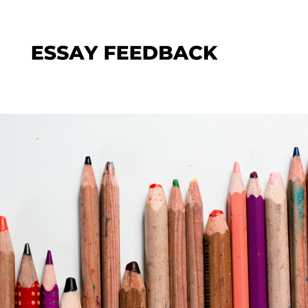 D4 Short Essay Feedback