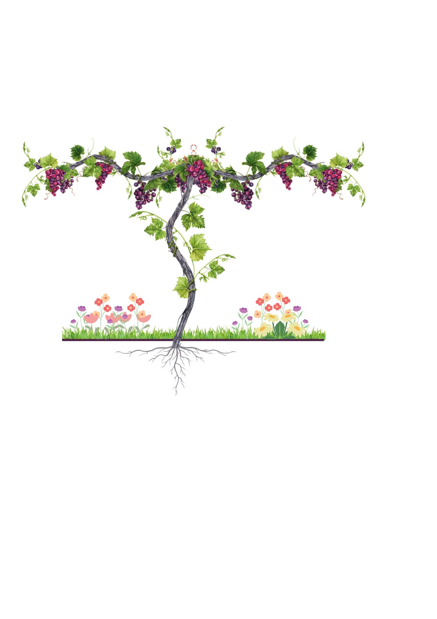 D1 WORKSHEETS BUNDLE - Grapey Minds