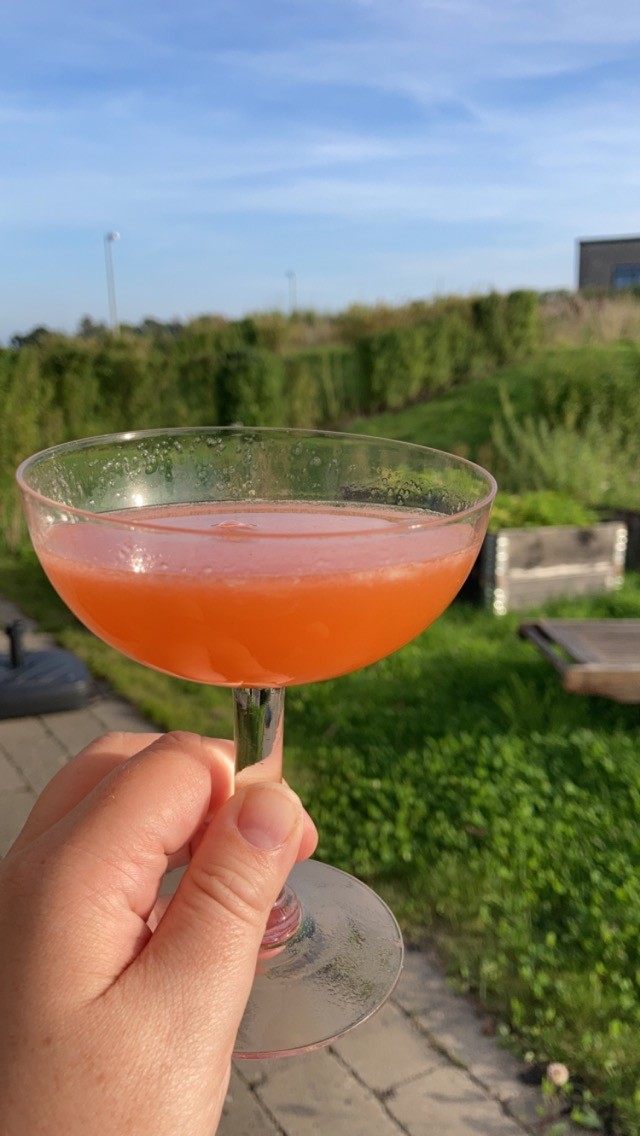 A whisky cocktail in a coupe glass
