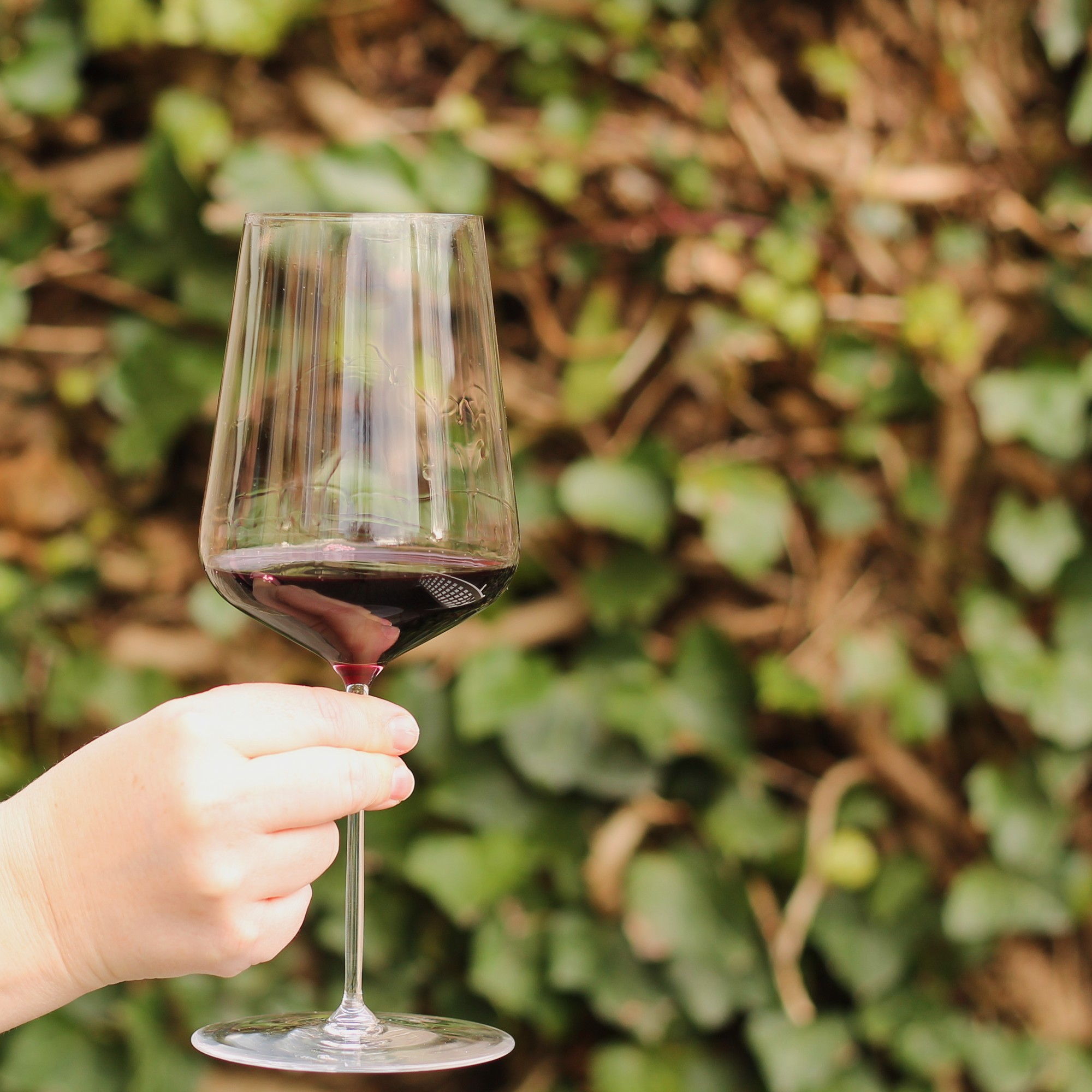 A glass of red wine held outdoors