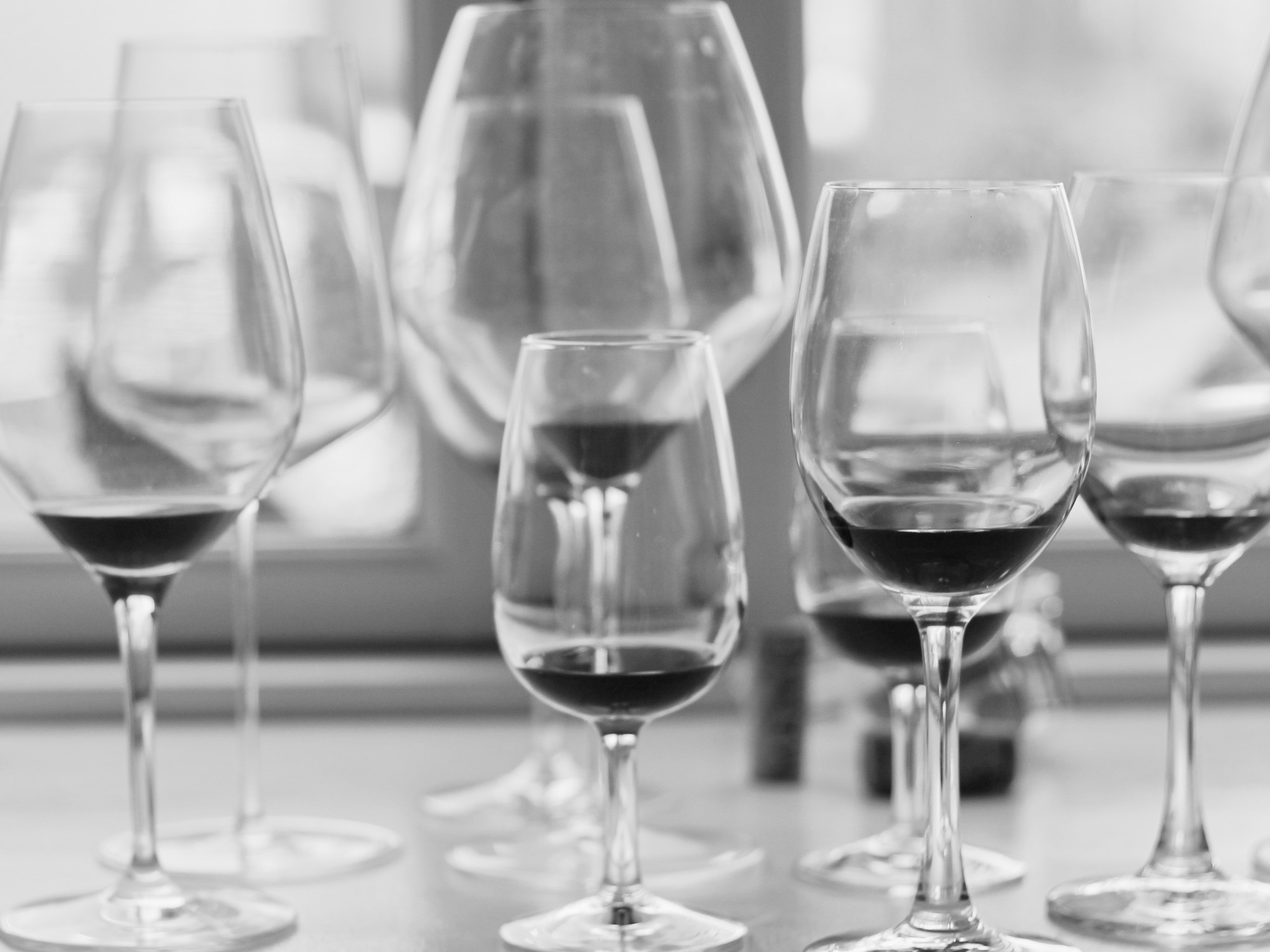 A line-up of wine glasses for tasting